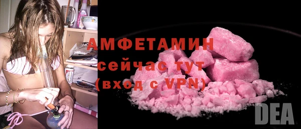 соль ск Дмитровск