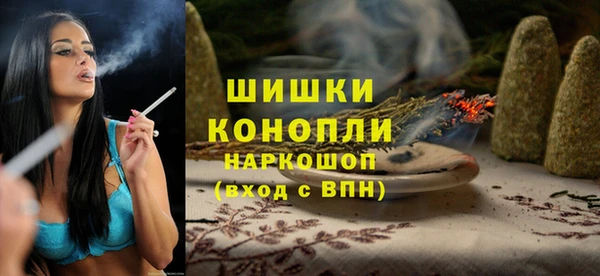 шишки Алексеевка