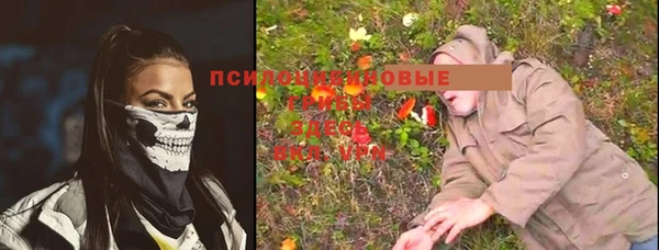 шишки Алексеевка