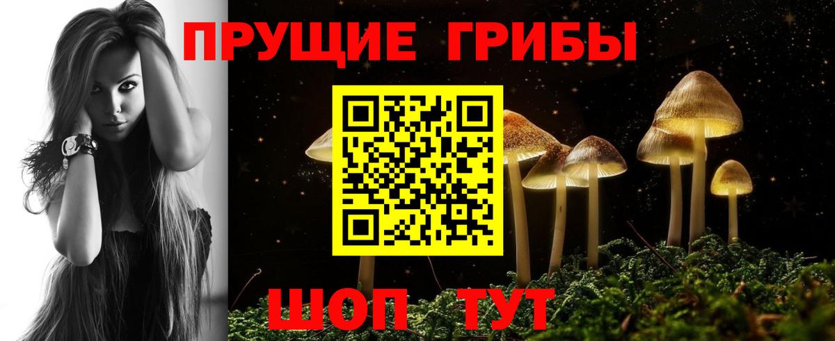 Сарапул  купить наркоту  Вход с VPN  Псилоцибиновые грибы ЛСД 