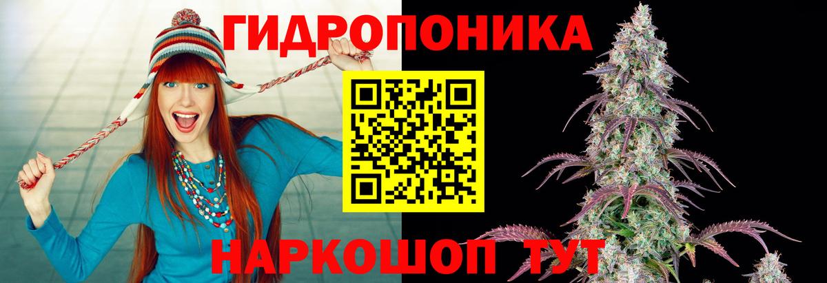 Каннабис конопля  Вход с VPN  Каннабис тримм  Сарапул 